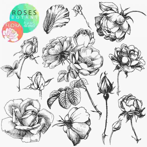 A collection of flowers drawn in black and white.