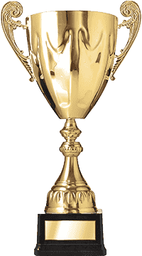 A gold trophy cup on a white background.