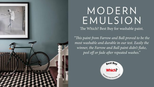 Modern Emulsion Paint Template With a Review