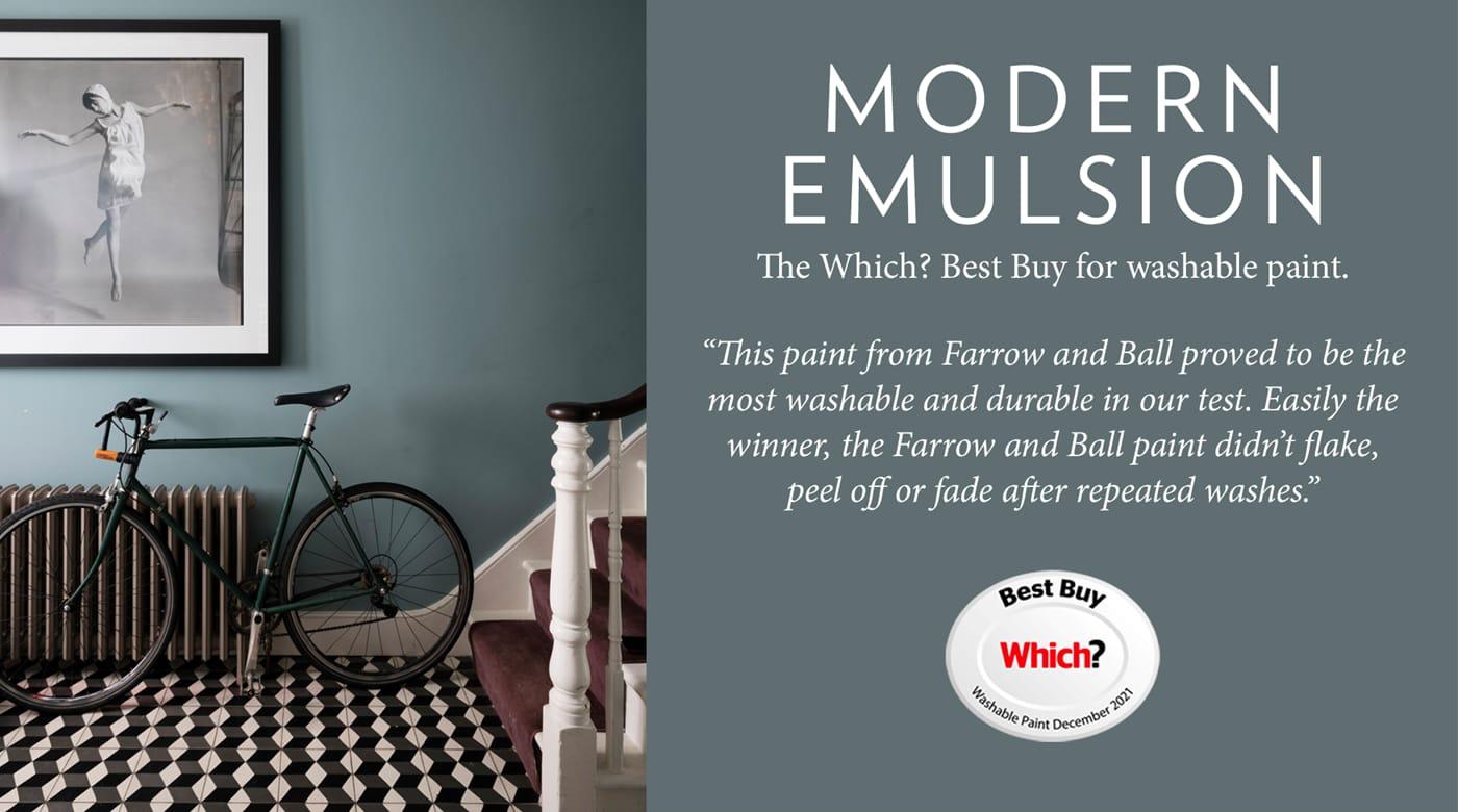 Modern Emulsion Paint Template With a Review