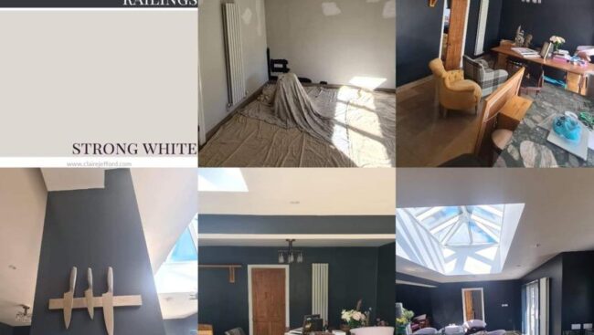 Strong white and railings paint swatches